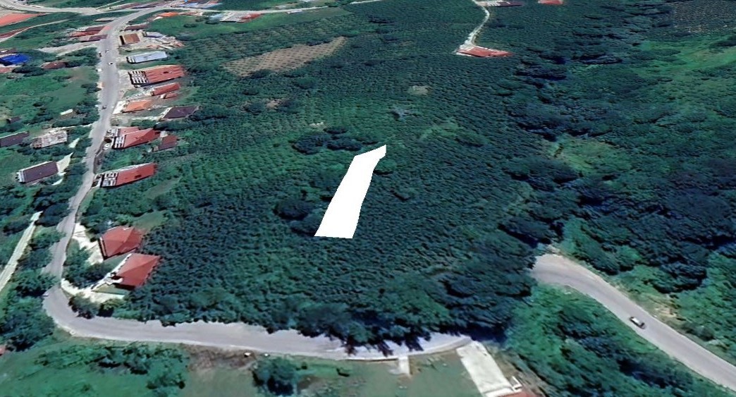 GÖLKÖY FINDIK BAHÇESİ 445 M2